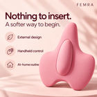 FEMRA external design, handheld control and at-home routine